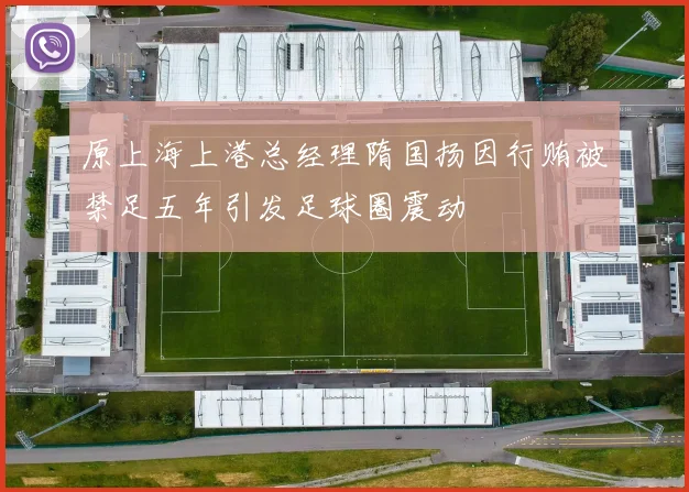 原上海上港总经理隋国扬因行贿被禁足五年引发足球圈震动