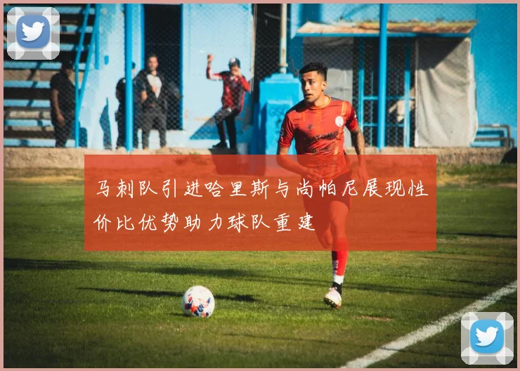 马刺队引进哈里斯与尚帕尼展现性价比优势助力球队重建