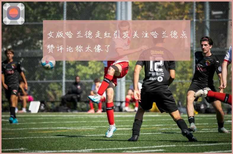 女版哈兰德走红引发关注哈兰德点赞评论称太像了